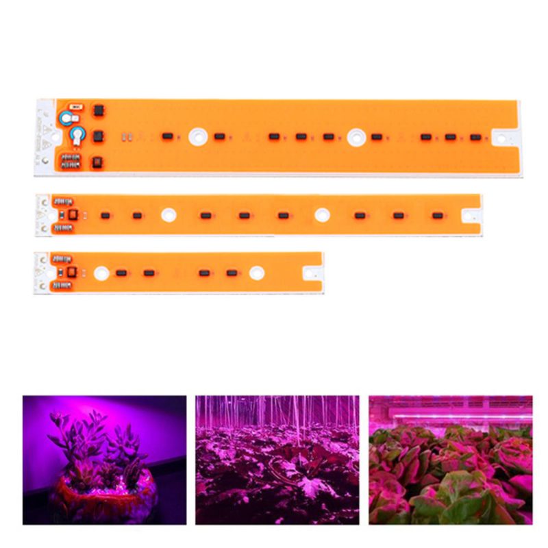 Ac110v/220v 30w 50w 80w Full Spectum Led Cob Chip Grow -valolähde Flood Jodi-volframilamppulle