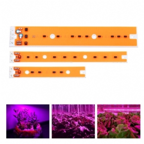 Ac110v/220v 30w 50w 80w Full Spectum Led Cob Chip Grow -valolähde Flood Jodi-volframilamppulle