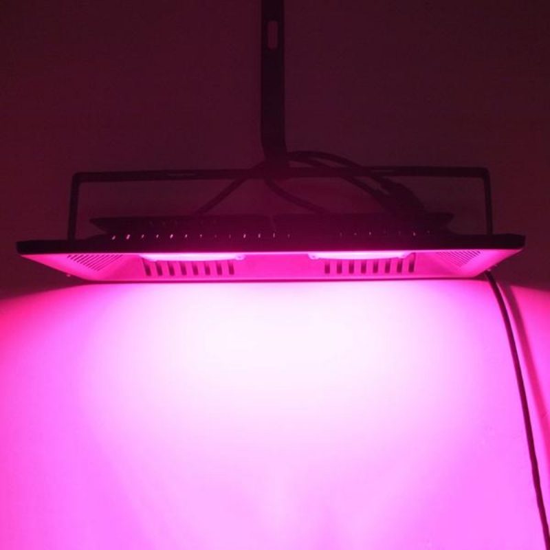 Ac220v 100w Full Spectrum Led Flood Grow Light Vedenpitävä Ip65 Sisätiloihin