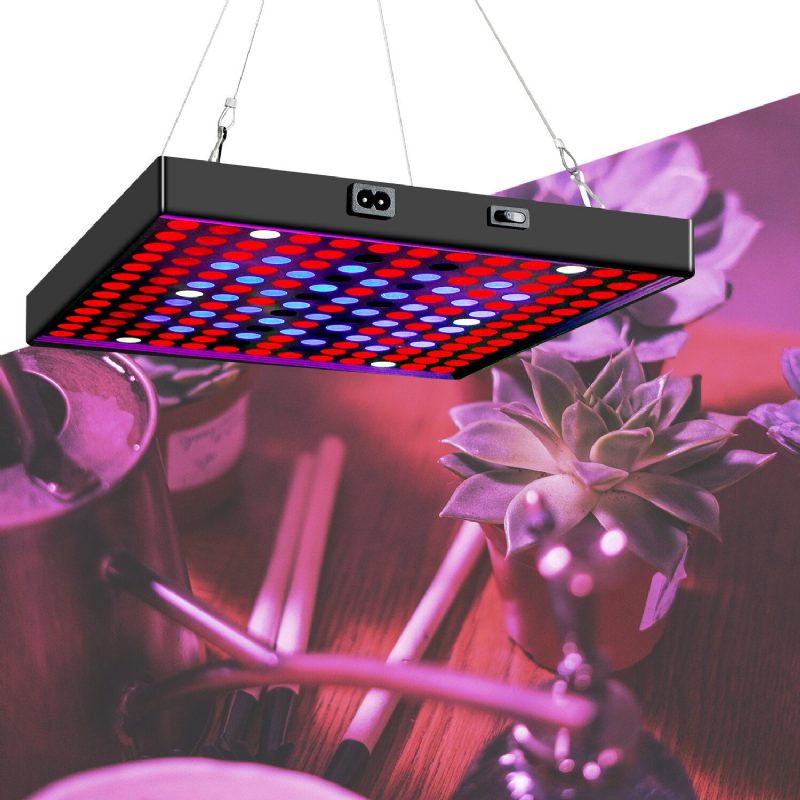 Ac85v~265v 81led/169led Täysspektri Grow Light -kasvivalo Ripustussarjalla Kasvihuonetiloihin