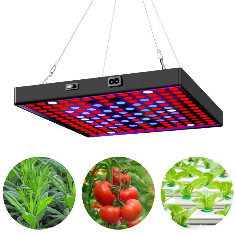 Ac85v~265v 81led/169led Täysspektri Grow Light -kasvivalo Ripustussarjalla Kasvihuonetiloihin