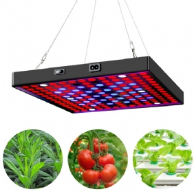 Ac85v~265v 81led/169led Täysspektri Grow Light -kasvivalo Ripustussarjalla Kasvihuonetiloihin