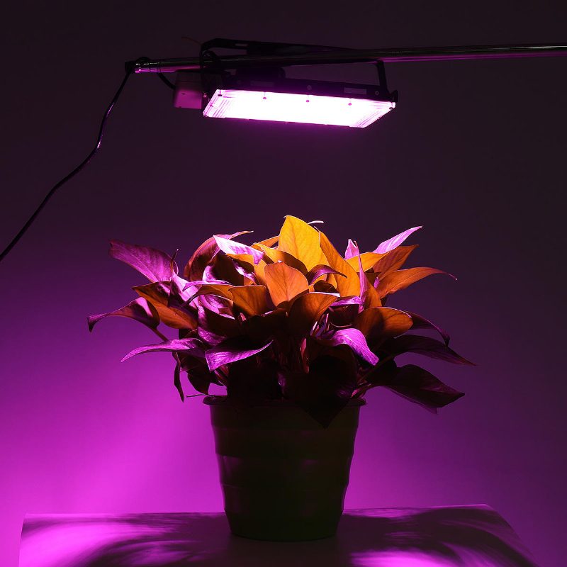 Full Spectrum 50 Led Grow Light Tulvavalaisin Kasveille