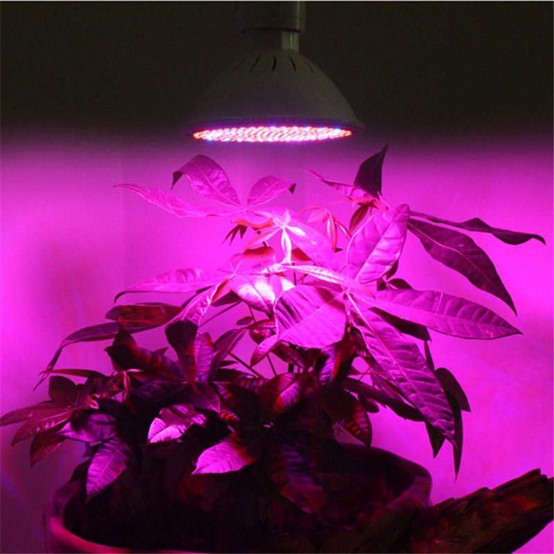 Led Grow -lamppu 20 W Kasvivalo 200 Ledillä E27 Base -lamput Sisäkasveille Vihanneksille Kasvihuoneille Ja Hydroponiikalle