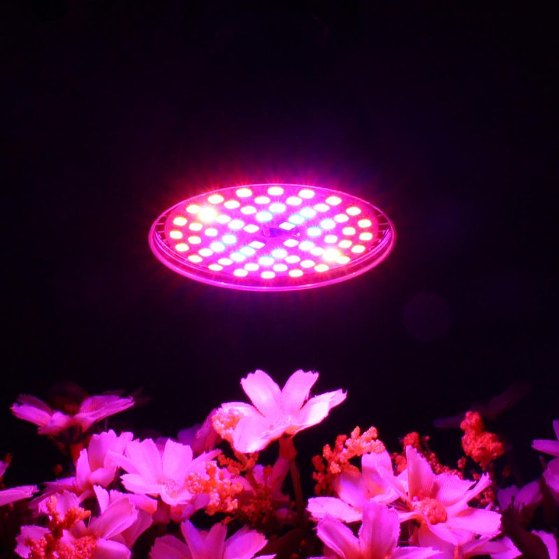 Led-polttimoiden Kasvuvalo E27 2835 Smd Full Spectrum Plant Hydroponic Aquarium Ac85-265v