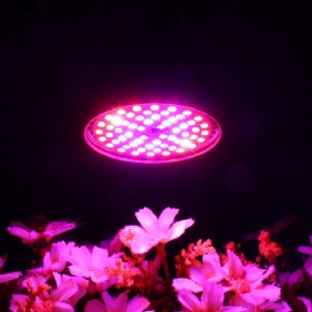 Led-polttimoiden Kasvuvalo E27 2835 Smd Full Spectrum Plant Hydroponic Aquarium Ac85-265v