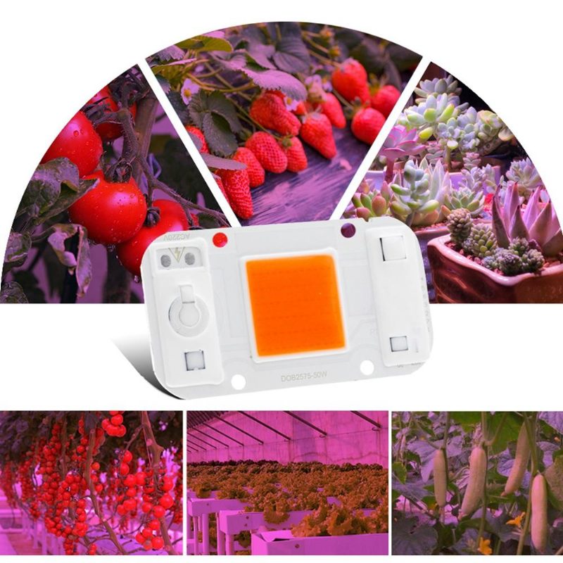 Lustreon 20w 30w 50w Full Spectrum Cob Led Grow Light Chip Diy Indoor Plant Hydroponice Ac220v