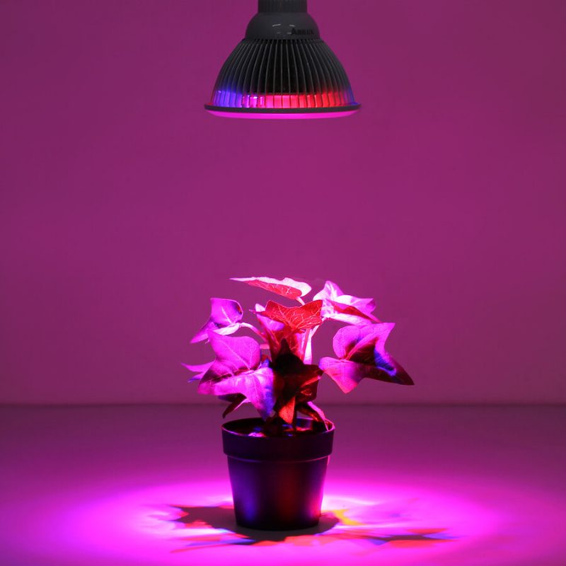 Pl-gl 01 E27 12w/24w Led Plant Grow Lamppu Puutarha Hydroponics Kasvihuone Organic