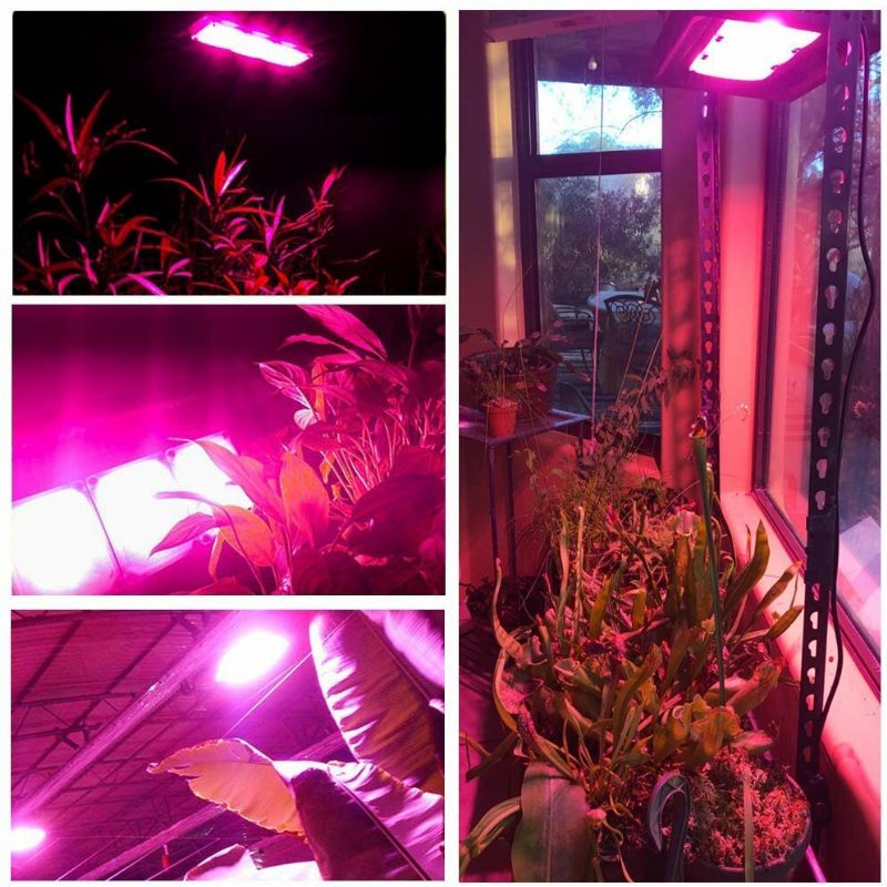 Relassy Cob Led Grow Lights 450w Outdoor Light Täysspektri Kasvit Kevyt Vedenpitävä Luonnollinen Lämmönhajoaminen Ei Kohinaa Led-kasvatuspaneelivalo Sisäkasveille Kasvihuonepuutarha