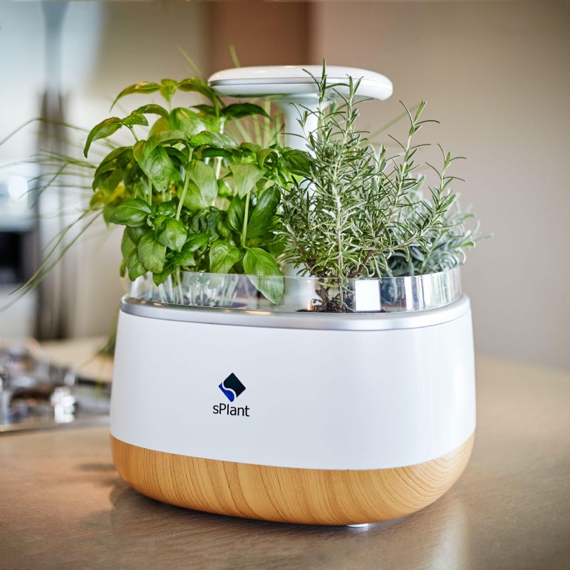 Splant Smart Fresh Herb Garden Kit Älykäs Sisätilojen Sprout Led-valo Puutarha Neljä Kukkaruukkua App-kaukosäätimellä Itsekasteluteknologialla