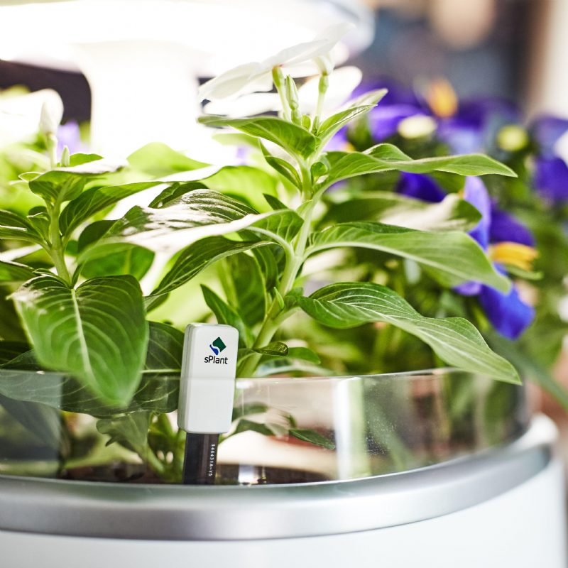 Splant Smart Fresh Herb Garden Kit Älykäs Sisätilojen Sprout Led-valo Puutarha Neljä Kukkaruukkua App-kaukosäätimellä Itsekasteluteknologialla