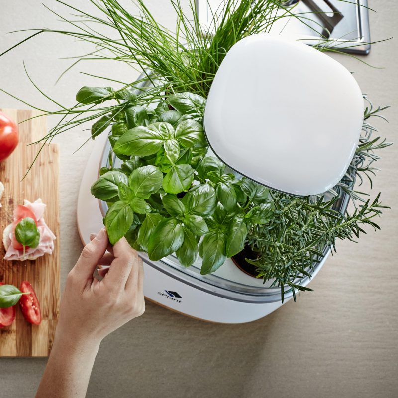 Splant Smart Fresh Herb Garden Kit Älykäs Sisätilojen Sprout Led-valo Puutarha Neljä Kukkaruukkua App-kaukosäätimellä Itsekasteluteknologialla