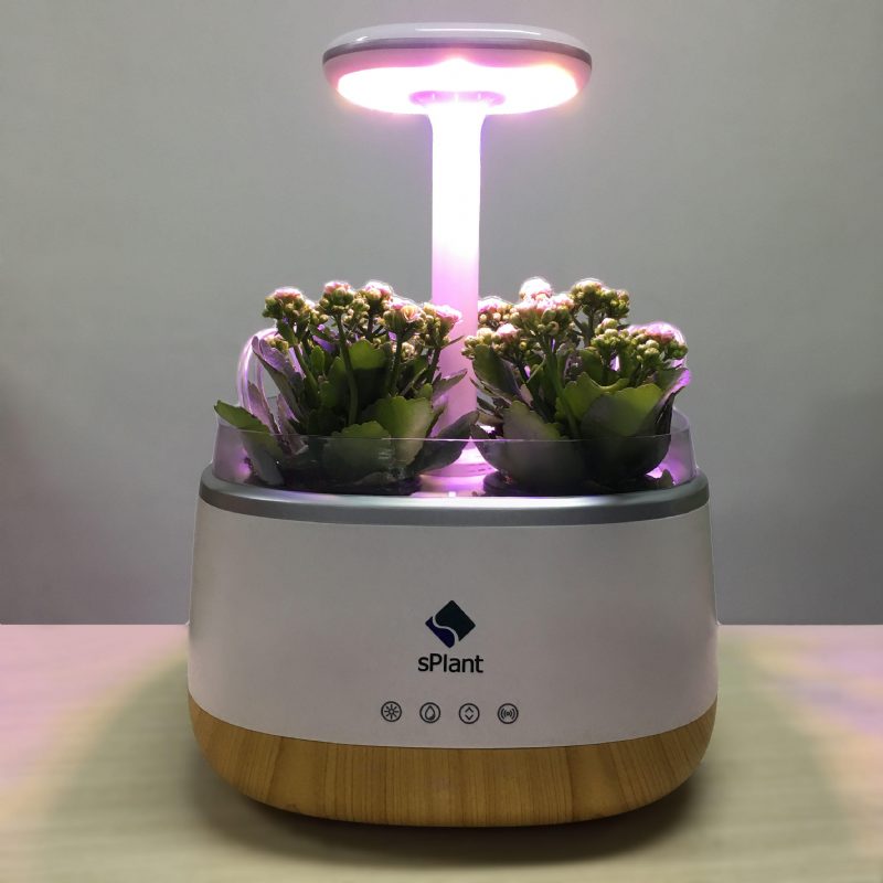 Splant Smart Fresh Herb Garden Kit Älykäs Sisätilojen Sprout Led-valo Puutarha Neljä Kukkaruukkua App-kaukosäätimellä Itsekasteluteknologialla