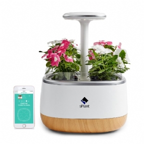 Splant Smart Fresh Herb Garden Kit Älykäs Sisätilojen Sprout Led-valo Puutarha Neljä Kukkaruukkua App-kaukosäätimellä Itsekasteluteknologialla