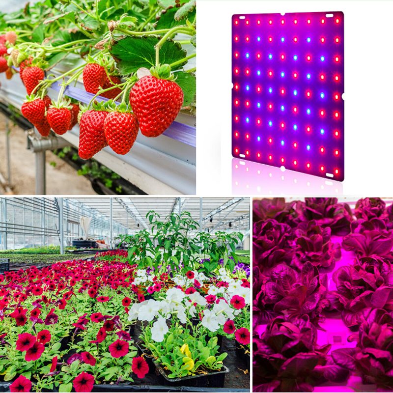 Ultraohut 81/169leds Plant Uv Grow Light Täyden Spektrin Kasvislamppu Sisätilojen Hydroponiseen Kasvien Kukkalle 110-240v