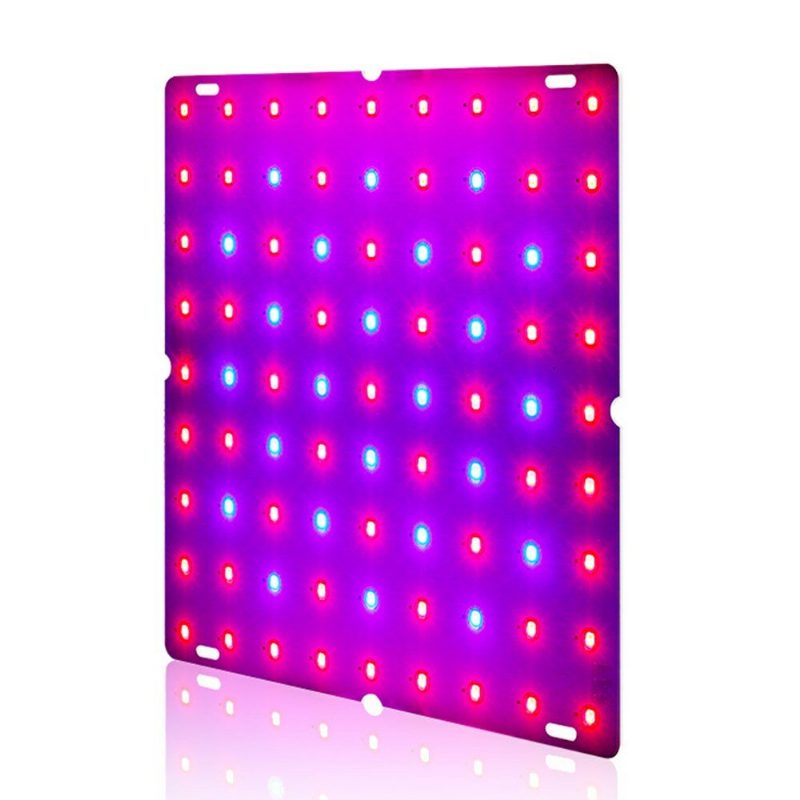 Ultraohut 81/169leds Plant Uv Grow Light Täyden Spektrin Kasvislamppu Sisätilojen Hydroponiseen Kasvien Kukkalle 110-240v