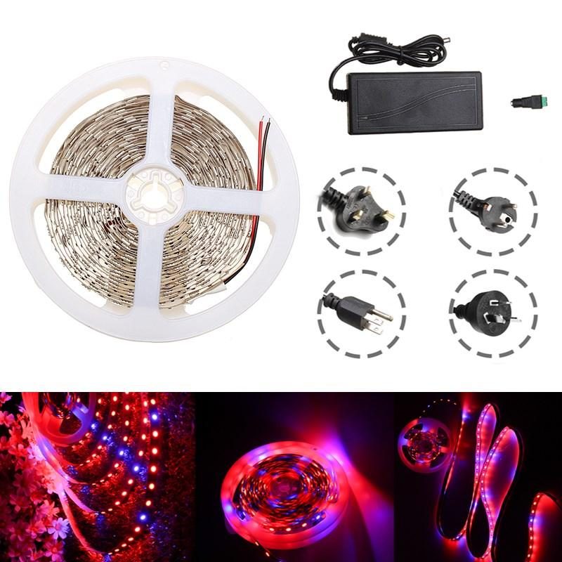 Vedenpitävä 5m Punainen:sininen 5:1 Smd5050 Full Spectrum Led Strip Grow Plant Light + Virtalähde Dc12v