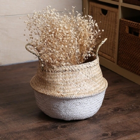 Seagrass Belly Säilytyskorit Ostoskassi Box Järjestäjä Plant Pot Half Green